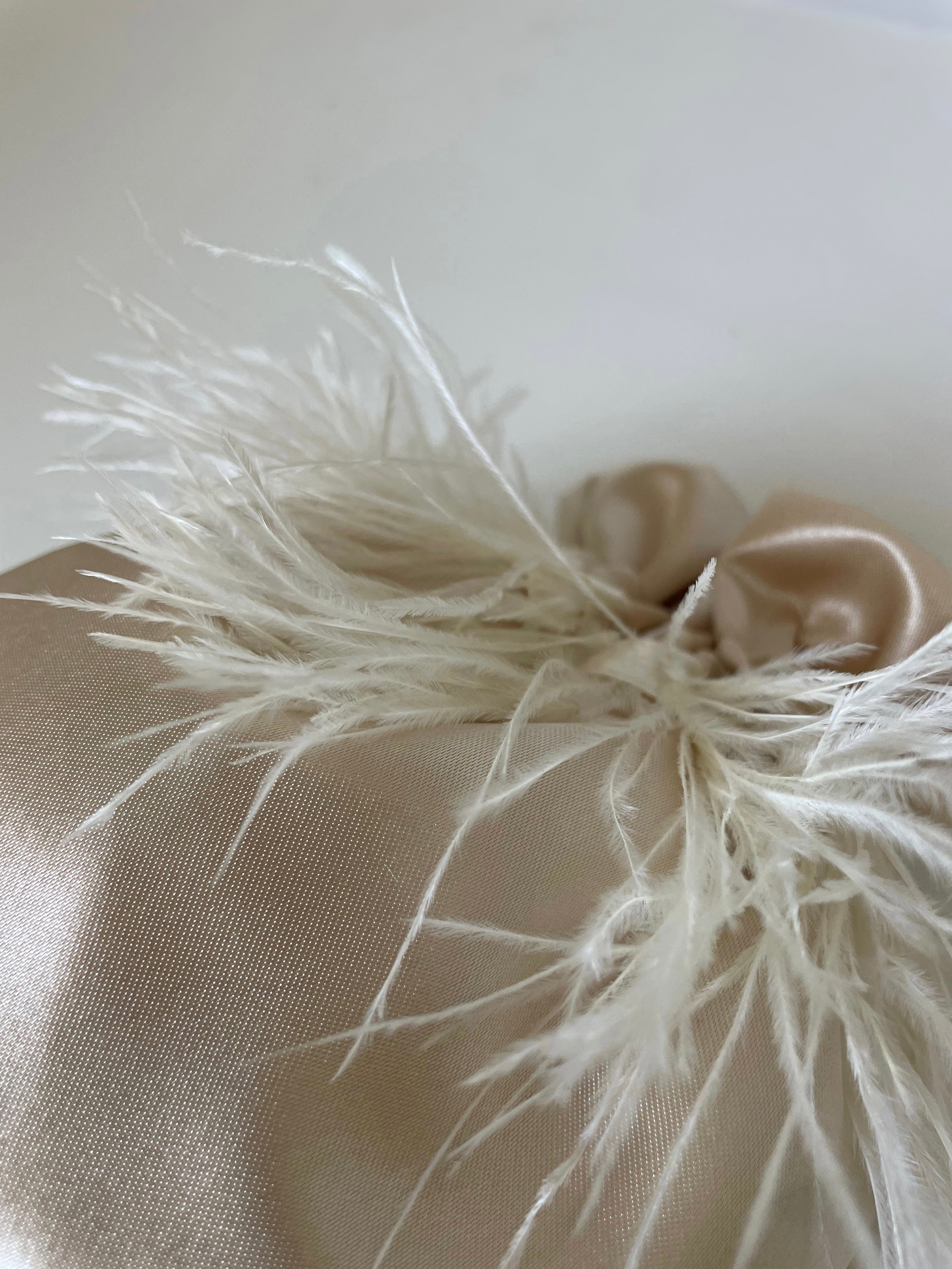 CLELIA | CHAMPAGNE